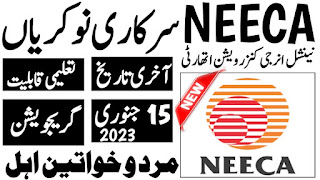 NEECA Jobs 2024